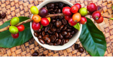 coffee, coffee facts, facts about coffee, coffee, coffee facts, coffee power, coffee drug