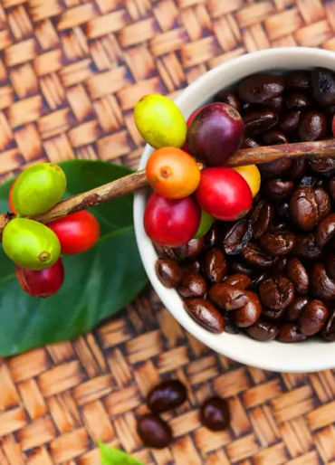 coffee, coffee facts, facts about coffee, coffee, coffee facts, coffee power, coffee drug