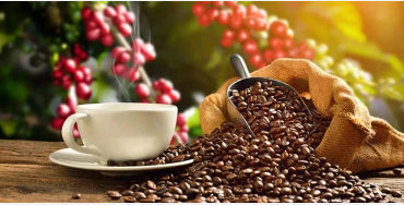 coffee, coffee facts, facts about coffee, coffee, coffee facts, coffee power, coffee drug