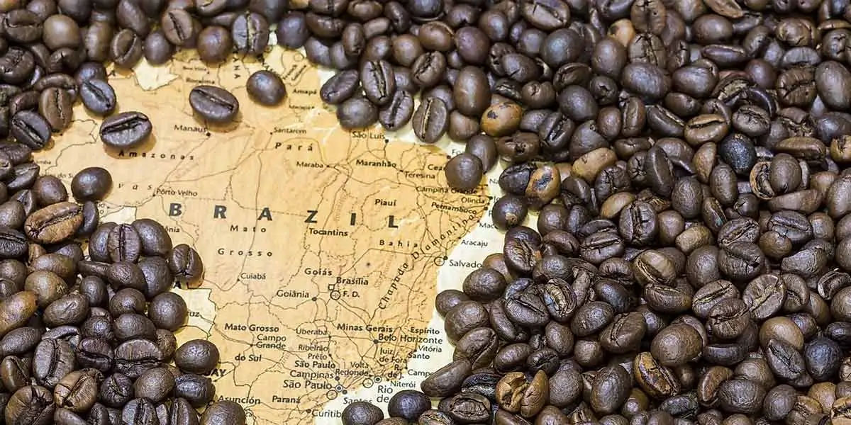 coffee, coffee facts, facts about coffee, coffee, coffee facts, coffee power, coffee drug