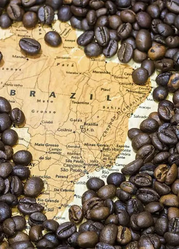 coffee, coffee facts, facts about coffee, coffee, coffee facts, coffee power, coffee drug