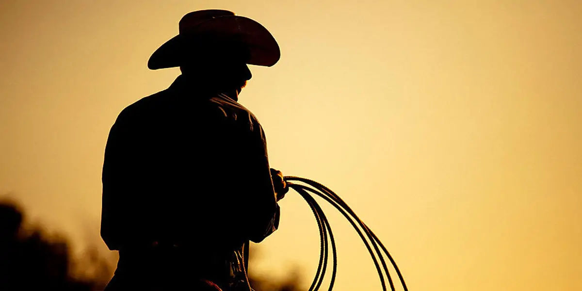 cowboys, cowboy, cowboys hat, cowboy hat