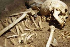 human skulls and bones recovered from a private hospital in wardha