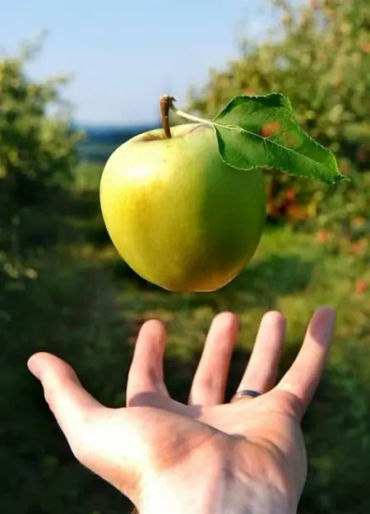 gravity, facts about gravity, gravity facts