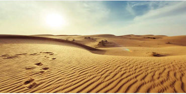 egyptians, egypt facts, facts about egypt, egyptian gods, egyptian cat, egyptians, afterlife