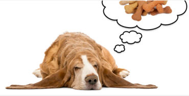 dream facts, facts about dreaming facts, learning in dream, niels bohr