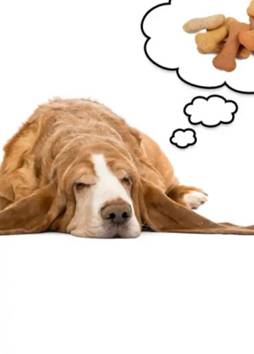 dream facts, facts about dreaming facts, learning in dream, niels bohr