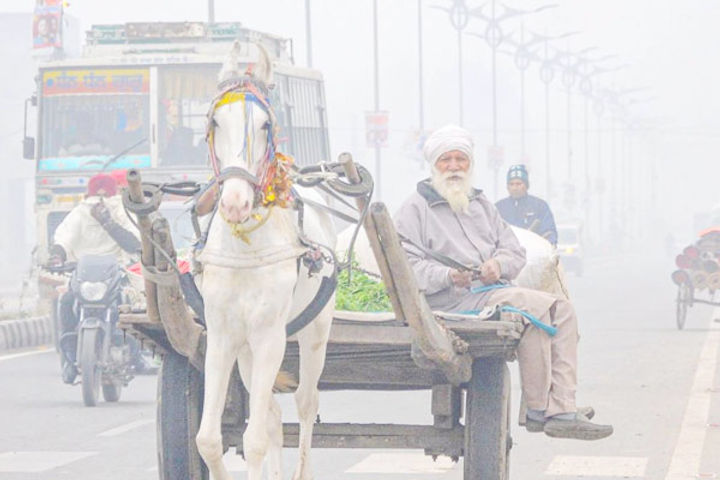 Cold Wave Will Prevail In Punjab And Haryana, Temperature Will Fall Down