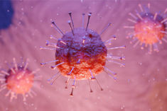 Coronavirus Pandemic