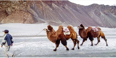 ladakh, ladakh facts, facts about ladakh, about ladakh, ladakh fact, ladakh travel, travel ladakh, l