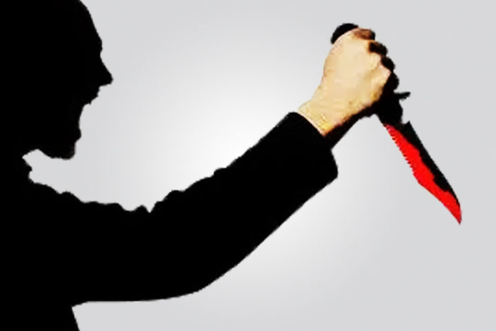 son kills mother over property dispute in former royal family of odisha