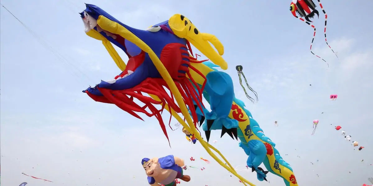 kites facts, facts about kites, kites, kite facts, facts of kites, 