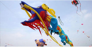 kites facts, facts about kites, kites, kite facts, facts of kites, 