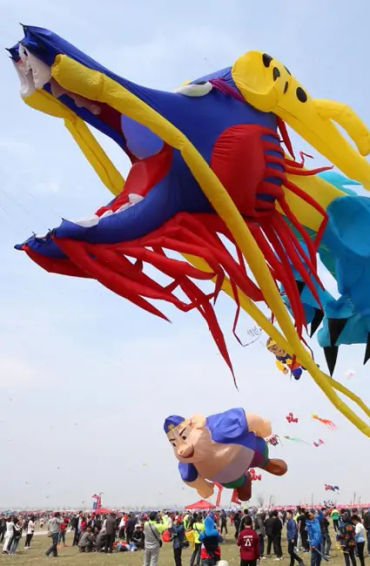 kites facts, facts about kites, kites, kite facts, facts of kites, 