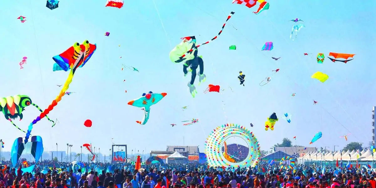 kites facts, facts about kites, kites, kite facts, facts of kites, 