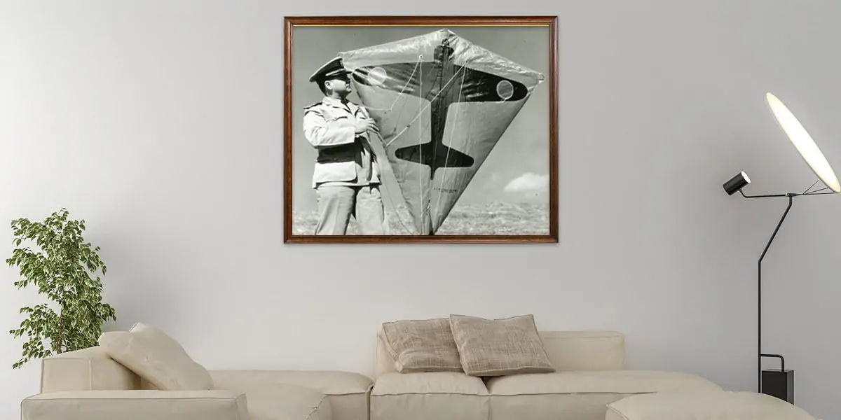 kites facts, facts about kites, kites, kite facts, facts of kites, 