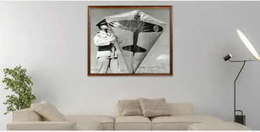 kites facts, facts about kites, kites, kite facts, facts of kites, 