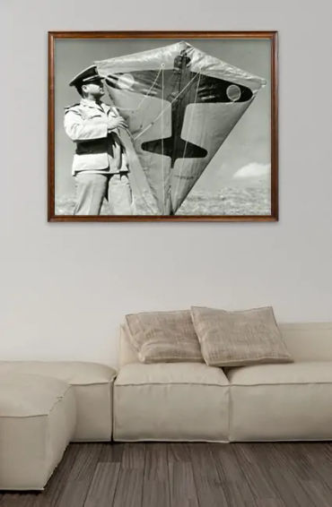 kites facts, facts about kites, kites, kite facts, facts of kites, 