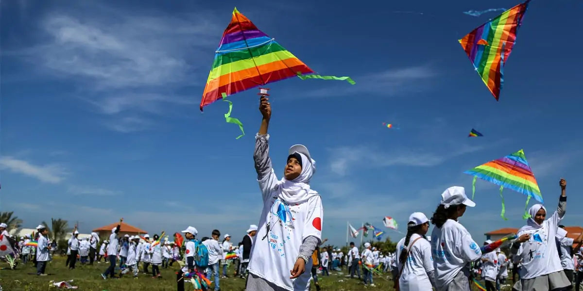kites facts, facts about kites, kites, kite facts, facts of kites, 