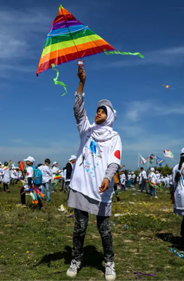 kites facts, facts about kites, kites, kite facts, facts of kites, 