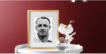 bradman, donald bradman, bradman cricketer