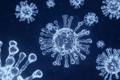 deer infected with omicron variant of corona in america