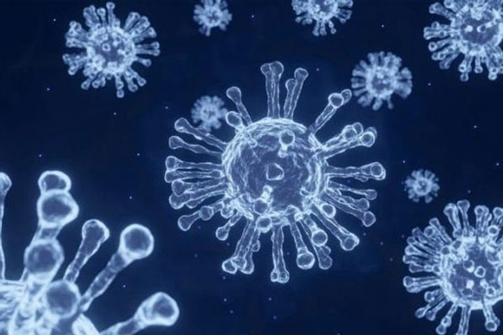 deer infected with omicron variant of corona in america