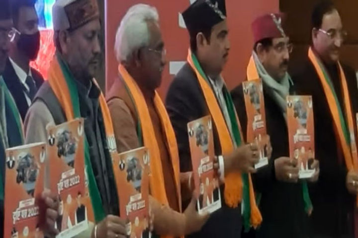 nitin gadkari released bjp manifesto