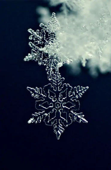 Facts about Snow, Snow Facts, Didi you Know