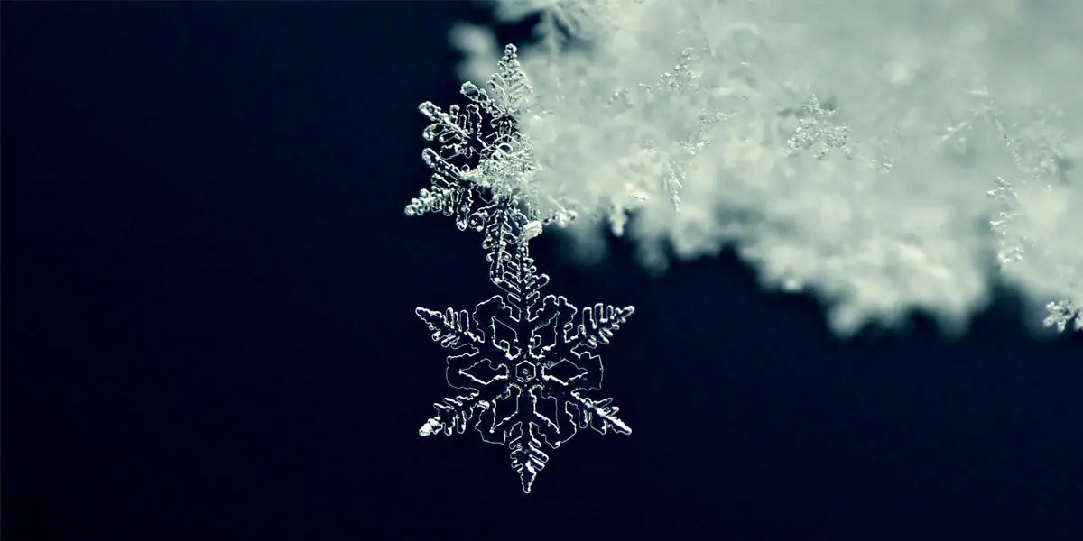 Facts about Snow, Snow Facts, Didi you Know