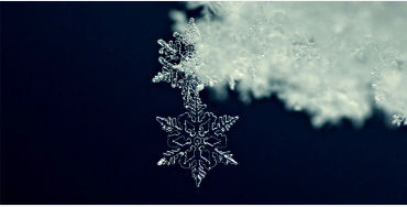 Facts about Snow, Snow Facts, Didi you Know