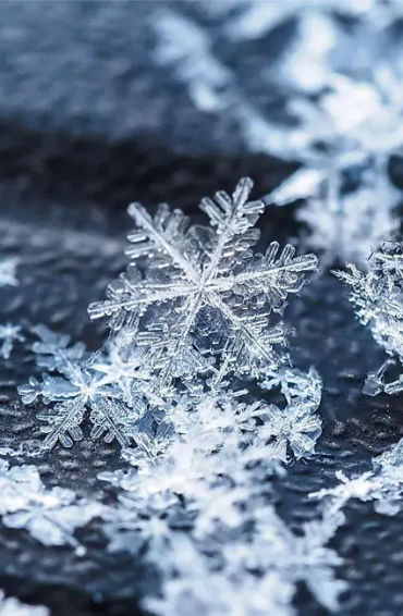 Snow Facts, Facts about snow, Did you know