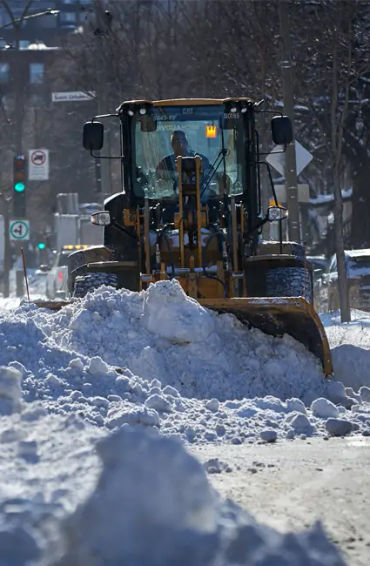 Snow Facts, Facts about snow, Did you know