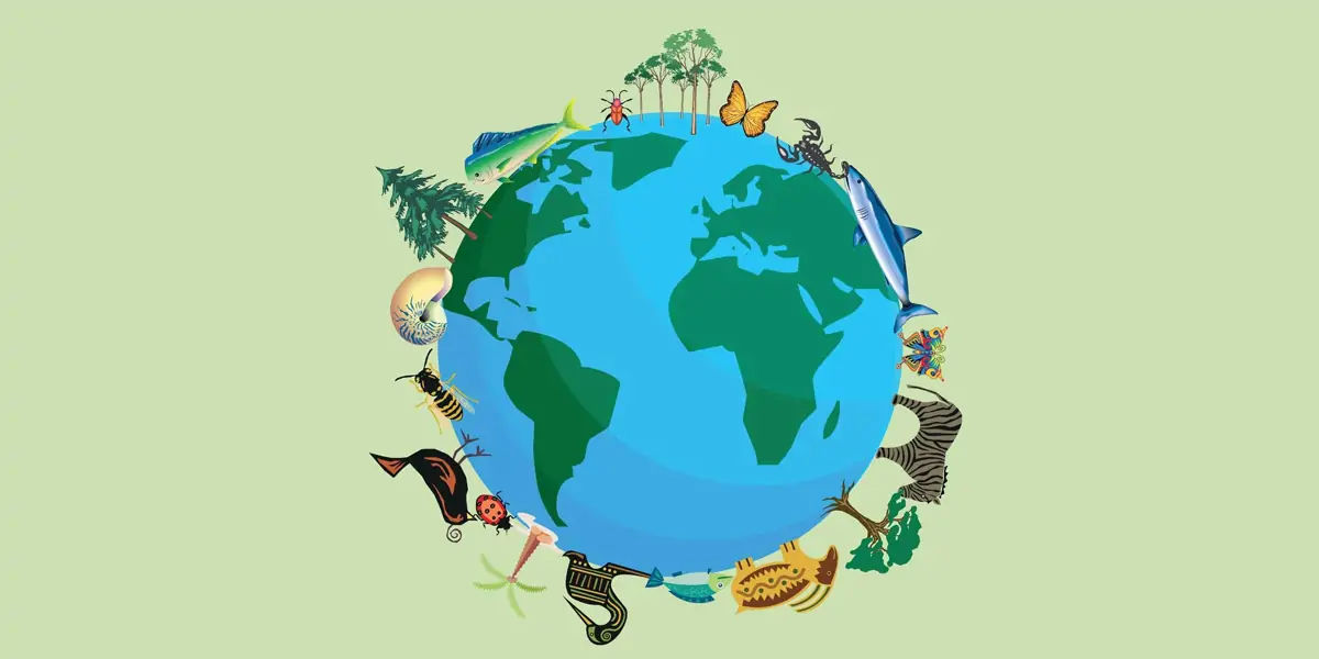 papua new guinea, papua new guinea about, papua new guinea facts, papua new guinea travel, papua new