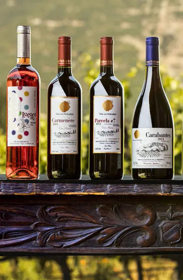 chile, chile facts, facts about chile, chile fact, amazing chile facts, fun facts chile, chile fun f