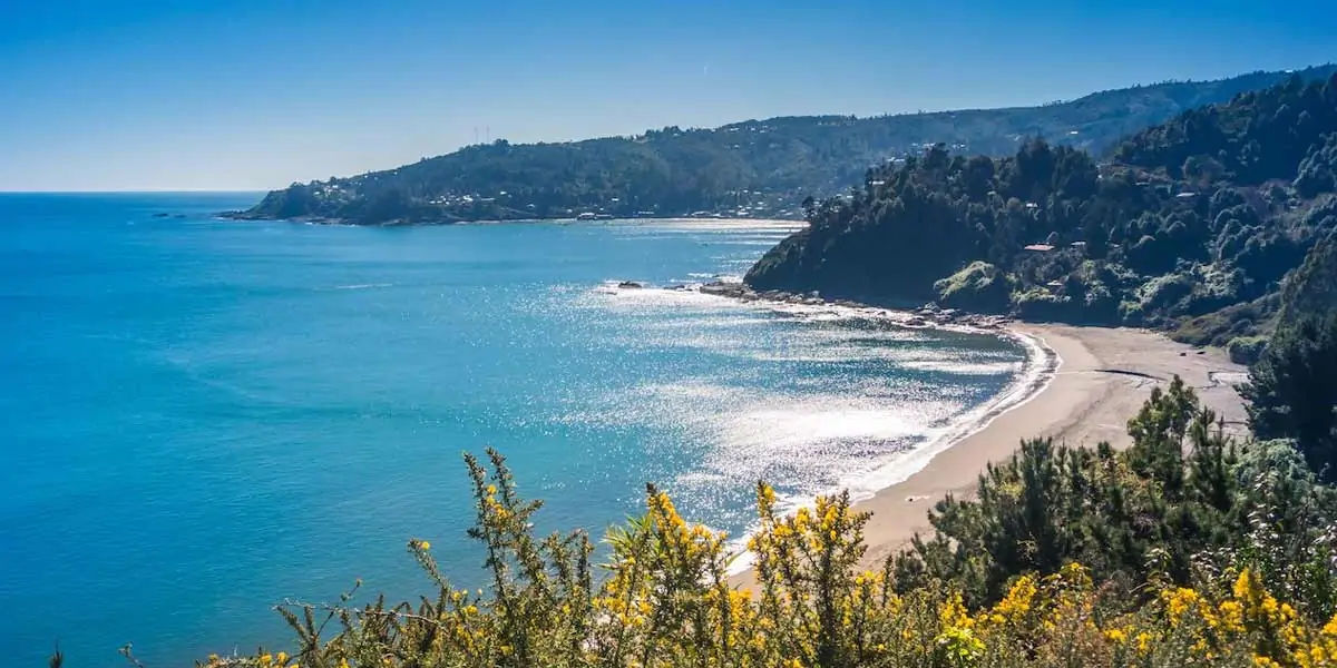 chile, chile facts, facts about chile, chile fact, amazing chile facts, fun facts chile, chile fun f