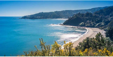 chile, chile facts, facts about chile, chile fact, amazing chile facts, fun facts chile, chile fun f