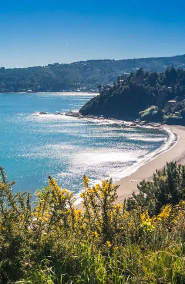 chile, chile facts, facts about chile, chile fact, amazing chile facts, fun facts chile, chile fun f