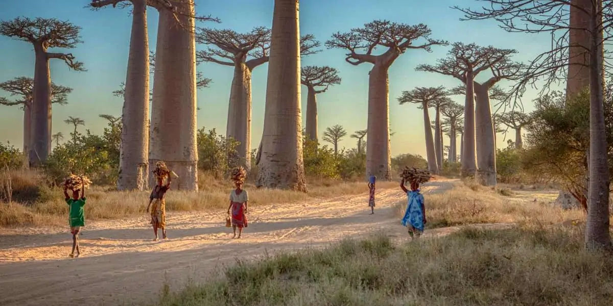 madagascar, madagascar facts, facts about madagascar, madagascar pirates, madagascar vanila, madagas