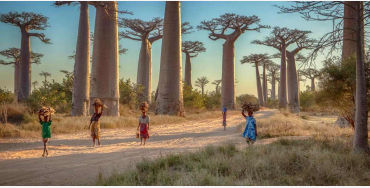 madagascar, madagascar facts, facts about madagascar, madagascar pirates, madagascar vanila, madagas