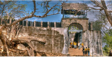 madagascar, madagascar facts, facts about madagascar, madagascar pirates, madagascar vanila, madagas
