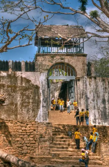 madagascar, madagascar facts, facts about madagascar, madagascar pirates, madagascar vanila, madagas