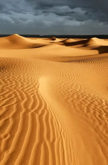 algeria, algeria facts, facts about algeria, algeria fact, algeria population, sahara dessert in alg