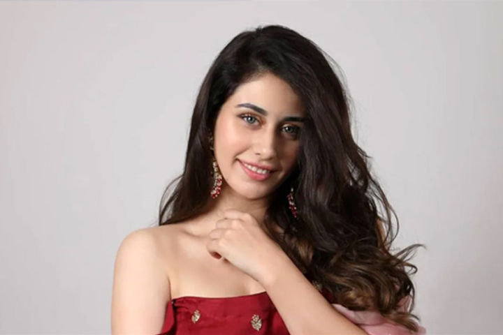 Loveyatri actress Warina Hussain's birthday is today