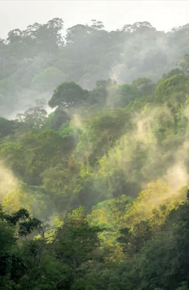 malaysia, malaysia facts, facts about malaysia, malaysian facts, facts about malaysians, malaysian c