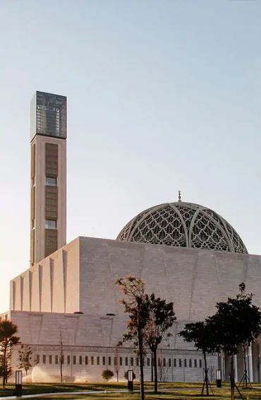 algeria, algeria facts, facts about algeria, algeria fact, algeria population, sahara dessert in alg