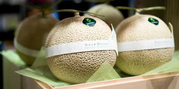 japan facts, facts about japan, janitors in japan, fun facts japan, otaku, japan fun facts , japanes