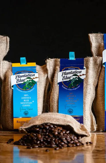 japan facts, facts about japan, janitors in japan, fun facts japan, otaku, japan fun facts , japanes