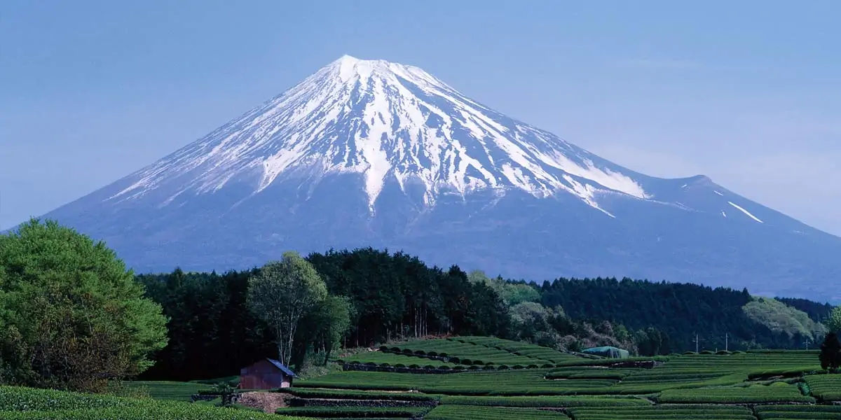 japan facts, facts about japan, janitors in japan, fun facts japan, otaku, japan fun facts 