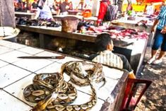 Claim through two researches Coronavirus was spread from Chinas Wuhan seafood market